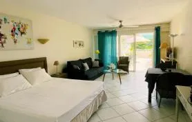 BEAU STUDIO SUR BAIE ORIENTALE
