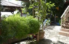 Bungalow «Cocotier» en bois, sur pilotis avec terrasse - Piscine au sel et chauffée avec vue mer. 