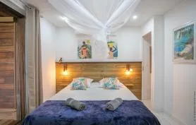 Villa Canopée - Apt 3 **** Vue mer Grand T2, SPA privé