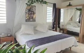 TI'TEMPLE appartement détente absolue dans son Jacuzzi