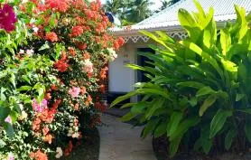 Villa Alpha de la Croix du Sud : Jardin Clos, Jacuzzi