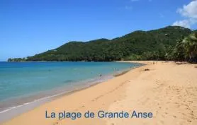 HOTEL FLEURS DES ILES  avec un acces direct a pieds a la plage de grande Anse