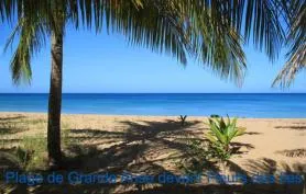 HOTEL FLEURS DES ILES  avec un acces direct a pieds a la plage de grande Anse