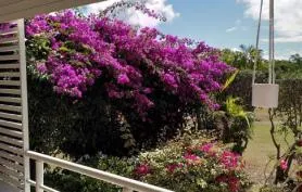 Appartement Bougainvillier standing dans résidence sécurisée avec piscine