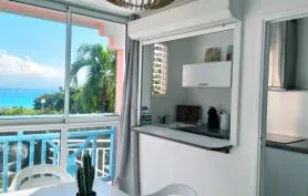 Appartement Pelican Paradise vue mer, piscine à débordement