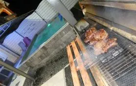 F1 L'ananas avec petite piscine privée au sel