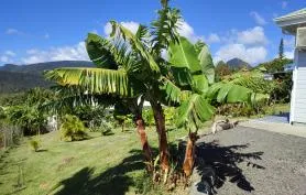 Maison Créole Kasa-Rev vue mer et montagne