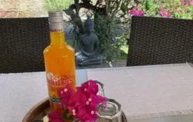 1/4 DE VILLA   TI CRABE LOCATION A ANSE DES ROCHERS