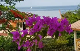 Alpinia - Maison créole de charme, carbet, vue mer, 300m plage de sable