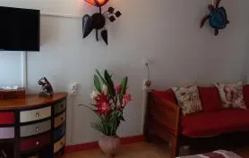 Studio Mahogany  Standing
