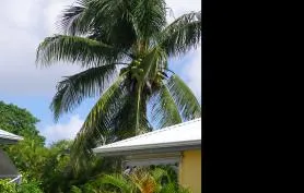 Bungalows de 2 à 4 personnes avec piscine de 10 x 5 m et la plage à 1 km
