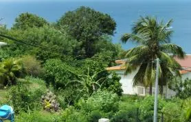 Superbe villa Oiseaux des isles avec vue sur la mer des Caraïbes