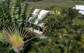 Gite le Colibri - Bungalow Azur avec réserve d'eau