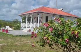 Fleur d'Hibiscus