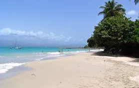 La location studio Ixora accès direct plage Guadeloupe, 2 personnes