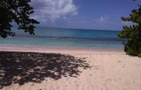 S_MSUNBEACHParadise                      