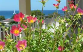 Villa Résidence Allamanda avec vue sur mer