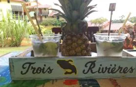 Studio les pieds dans l'eau à l'Anse Caritan 