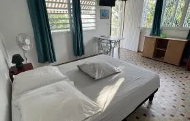 Appartement Hibiscus 25m² n°4, accès direct plage, vue mer et montagne, plages à 3 min à pied