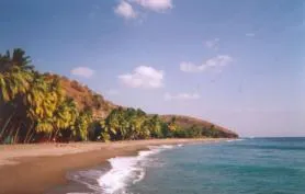 Villa créole caraïbes (Rez-de-chaussée)