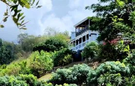 Villa créole caraïbes (Rez-de-chaussée)