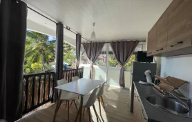 Apt Tortue - Grande Anse d'Arlet