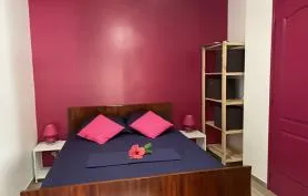 Apt Tortue - Grande Anse d'Arlet