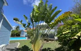 Villa 8 Pers Ti Bleu Caraibes