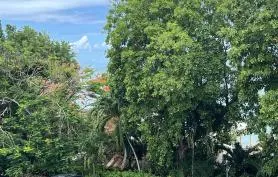 Location Hibiscus 4 en bord de mer, accès direct plage, vue tropical, montagne et mer, jardin fleuri, + citerne