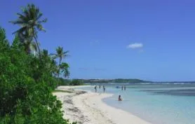 A 150m de la plage -20% T3 Piscine (6pers) 70€/nuit. T2 Spa 60€/n. Studios 40€/n. A 5mn à pied du plus beau lagon