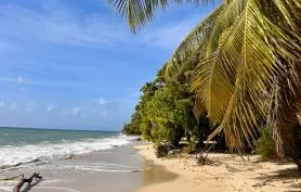 Nouveau superbe studio vue mer à 50 m de la plage et de la piscine endroit calme et zen dans le célèbre village Pierre et Vacances 