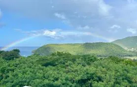 Villa Ti'Chenou, 3 suites, plain pied avec vue mer et canopée, avec piscine à débordement, proximité plage