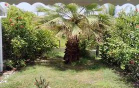 Jolie petite maison au Moule