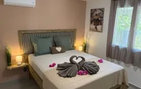 Villa Papaye avec SPA privatif