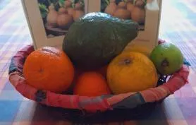 Kaz Calebasse T2 avec loggia 500m plage et village