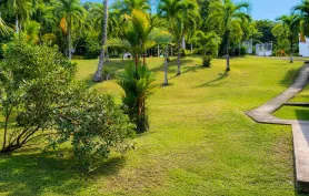Les Palmiers – Bungalow Créole au cœur d’un jardin tropical