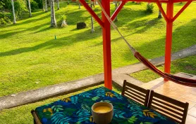 Les Palmiers – Bungalow Créole au cœur d’un jardin tropical