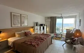 Magnifique studio vue mer, 50 m de la plage et piscine 