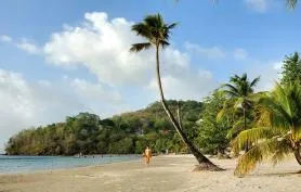 Kaz Ananas - Cocon créole avec Jardin privé - Plage & commerces à pied