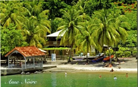 Domaine de Robinson, bungalows de charme sur la plage et cabane dans les arbres