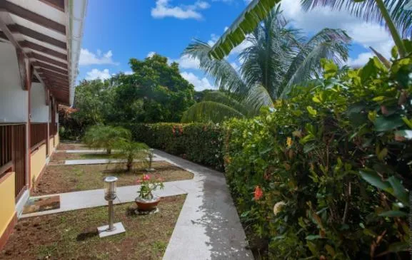 Location de charmants studios meublés à la Martinique