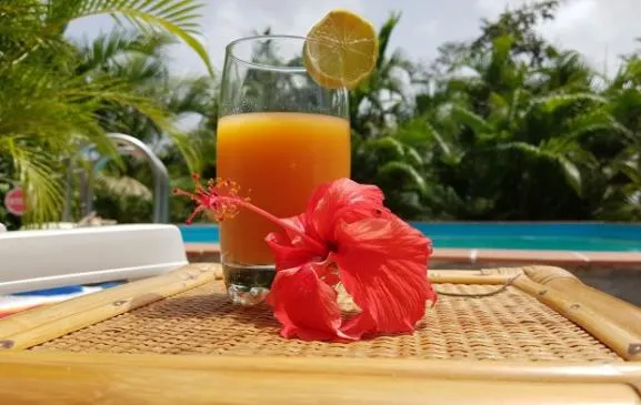 Vos vacances dans la Maison Antilia aux Anses d'Arlet