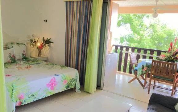 Studio**** 4p,2 ème étage, tout confort,Wifi Gratuit,magnifique terrasse,somptueuse vue mer,parking