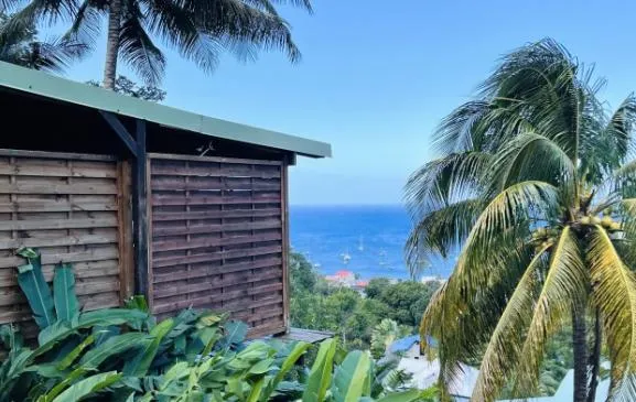 Bungalow bois piscine et vue mer dans jardin tropical