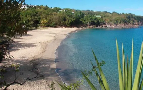 Gite Les Balisiers à 450m de la plage de Leroux