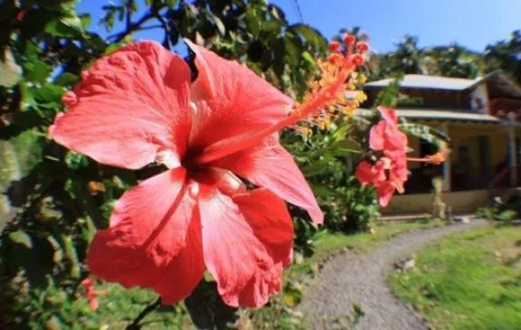 Gites en bordure de Rivière