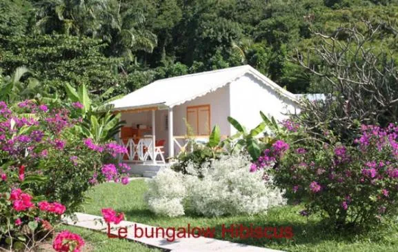 Bungalow Fleurs des îles en bordure de plage de Grande Anse