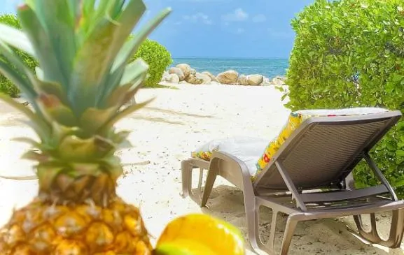 CARAIBES CASA