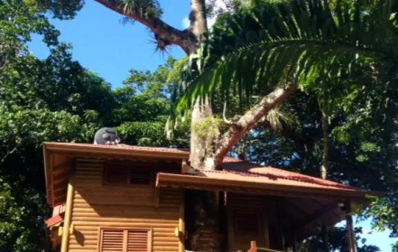 Cabane de charme Hisseo, perchée dans les arbres