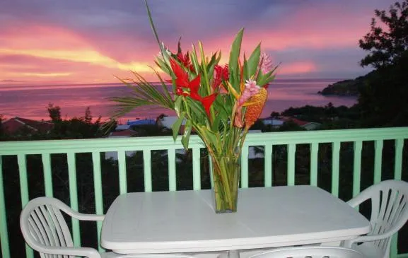 ANSES D'ARLET Petite Anse - Loue Appt T2 Climatisé Terrasse 19 m² 